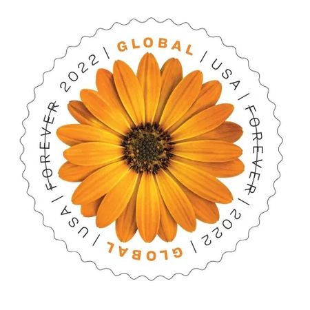 Global African Daisy 2022 - 5 Sheets 100 Pcs Unused Stamps for Mailing